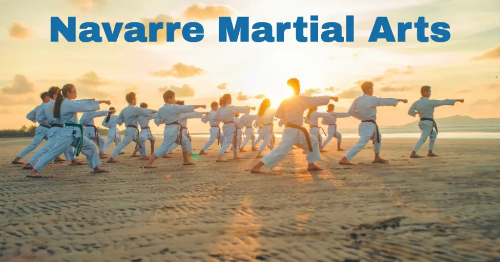 Navarre Martial Arts Dominate Your Dojo While in Navarre