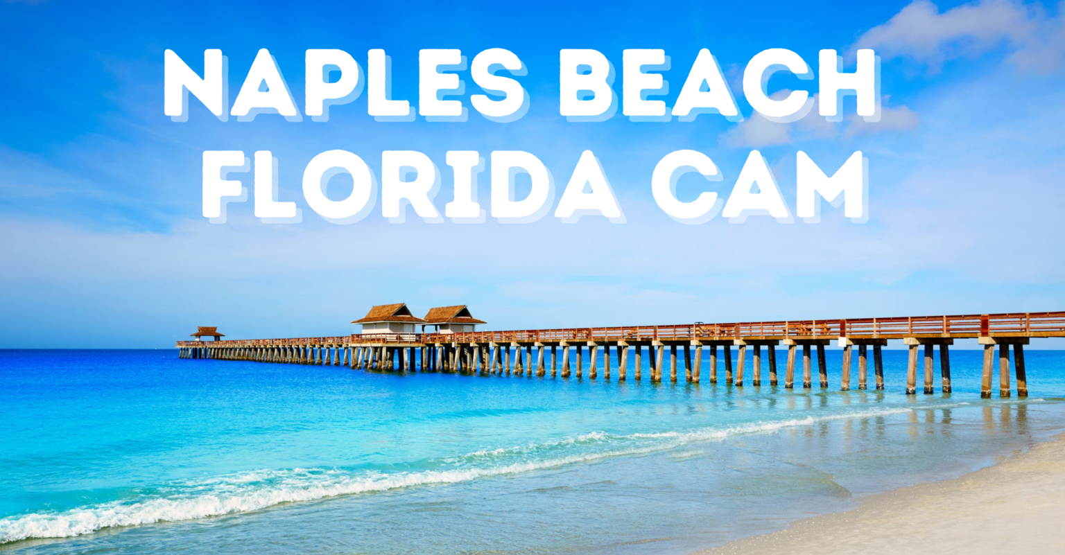 Experience The Beauty Of Naples Pier Through A Live Cam