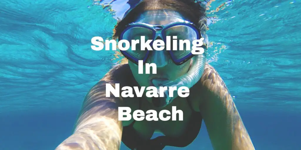 Snorkeling In Navarre Beach