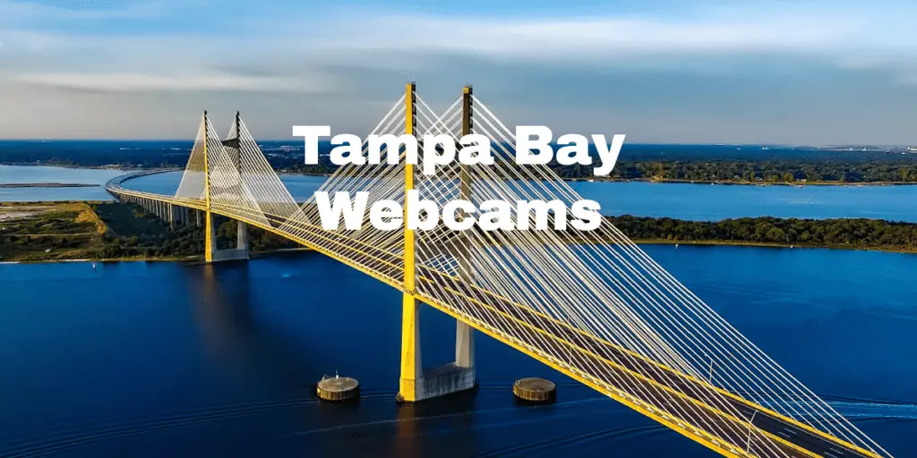 Tampa Bay Webcams